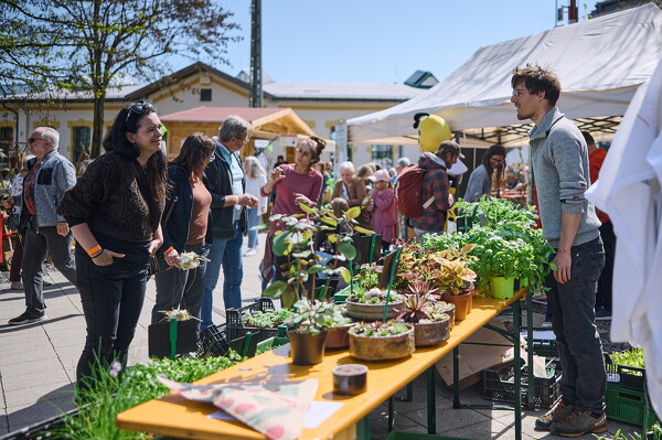 gtfl-25-04-27-11-48-40