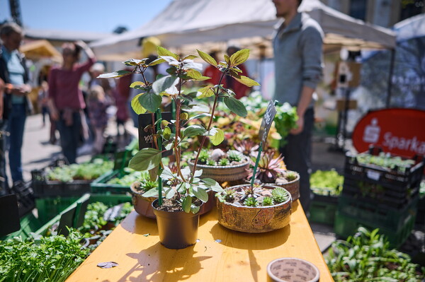 gtfl-25-04-27-11-48-49