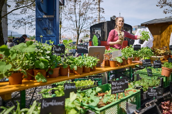 gtfl-25-04-27-11-51-04