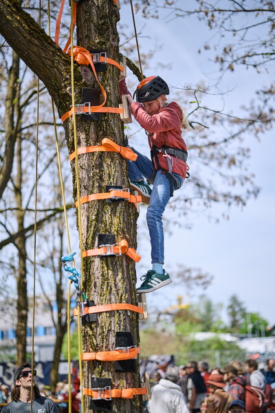 gtfl-25-04-27-12-11-59