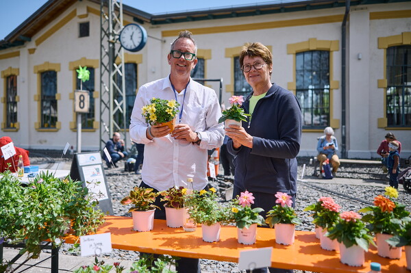 gtfl-25-04-27-12-24-34