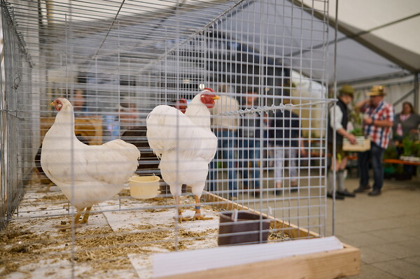 gtfl-25-04-27-12-30-22