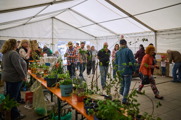 gtfl-25-04-27-12-32-24