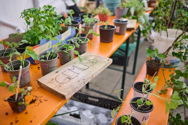 gtfl-25-04-27-12-32-57