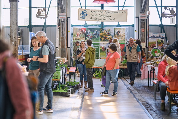 gtfl-25-04-27-13-28-27