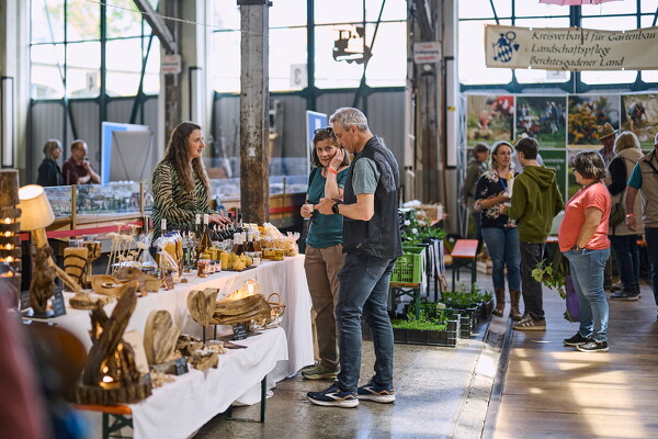 gtfl-25-04-27-13-28-28