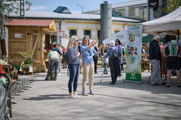 gtfl-25-04-27-14-36-21