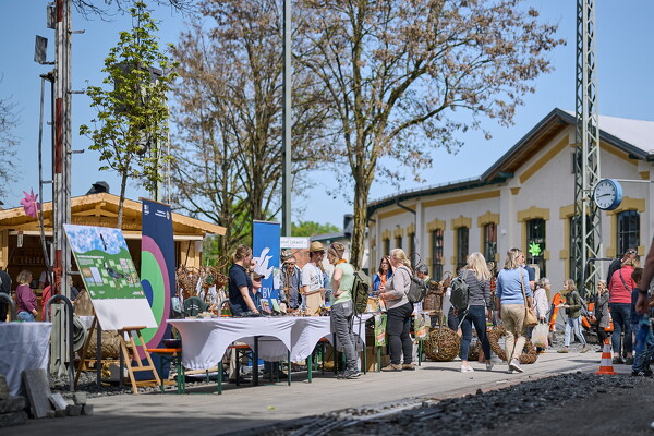 gtfl-25-04-27-14-41-37