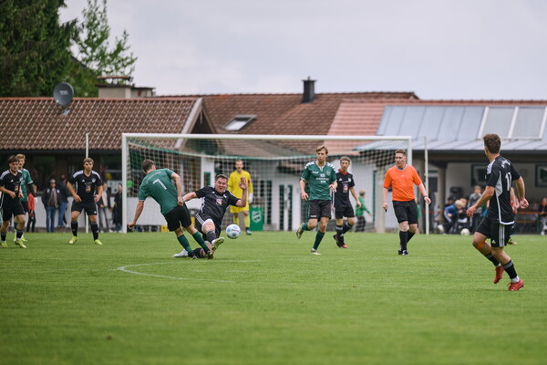 svl-svl-25-05-04-14-13-46