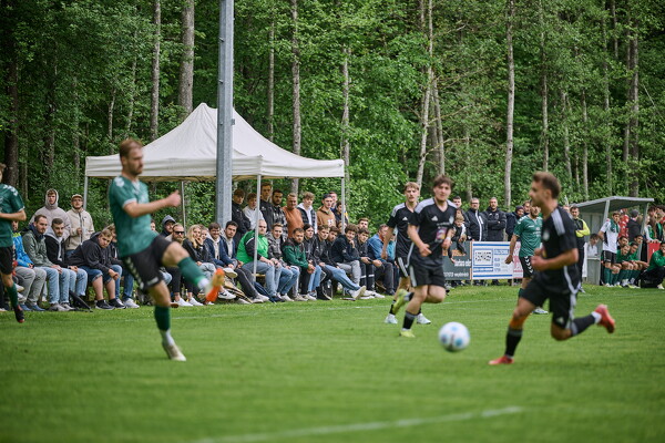 svl-svl-25-05-04-14-15-18