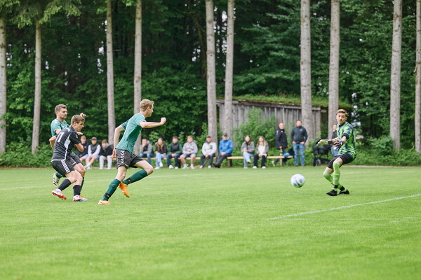 svl-svl-25-05-04-14-17-55