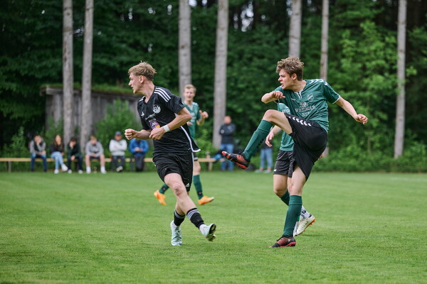 svl-svl-25-05-04-14-20-26