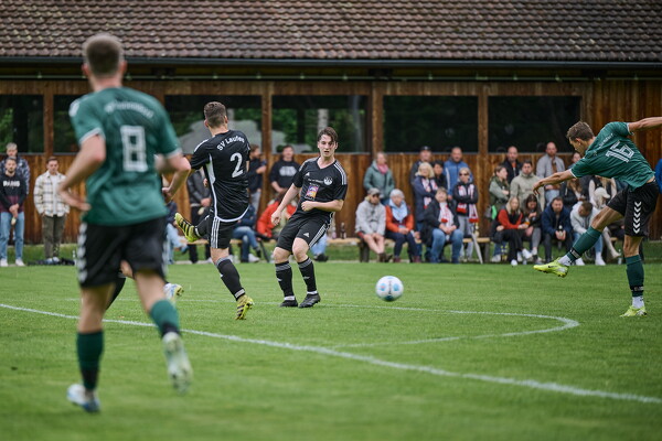 svl-svl-25-05-04-14-43-52