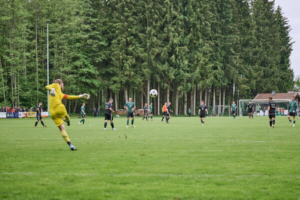 svl-svl-25-05-04-15-34-15