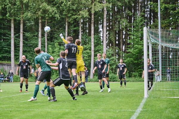 svl-svl-25-05-04-15-43-15