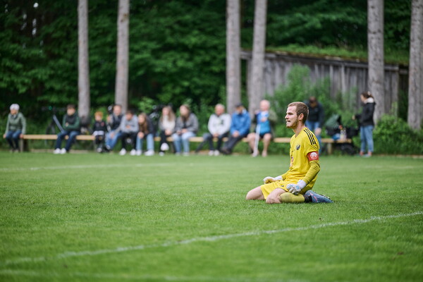 svl-svl-25-05-04-15-51-22