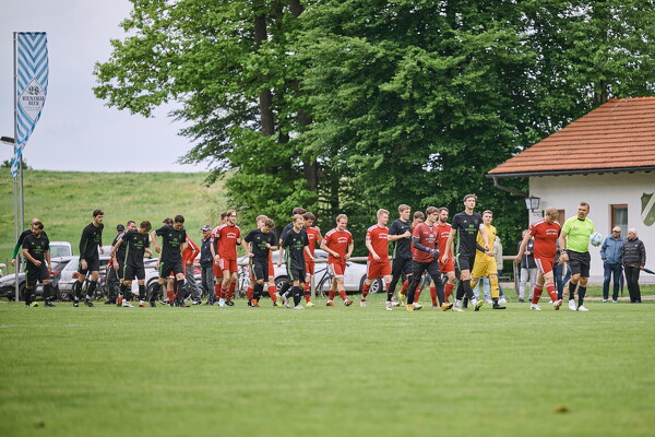 svlii-svlii-25-05-04-16-02-58