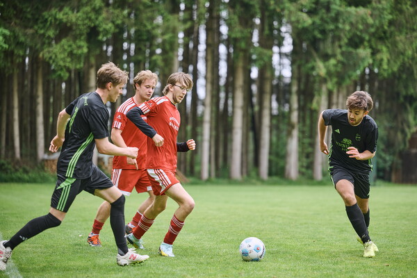 svlii-svlii-25-05-04-16-14-46