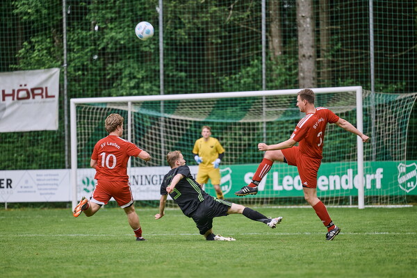 svlii-svlii-25-05-04-16-15-30