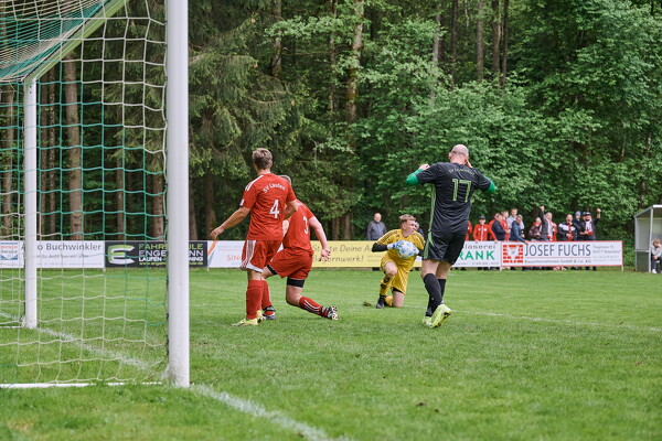 svlii-svlii-25-05-04-16-31-35