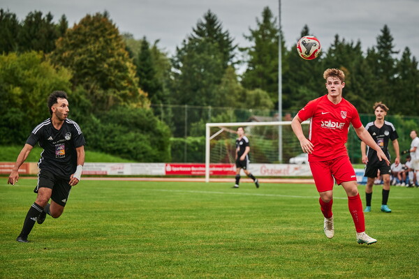 svlii-tsvtii-25-08-29-18-26-49