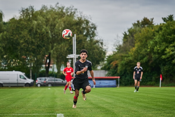 svlii-tsvtii-25-08-29-18-39-28