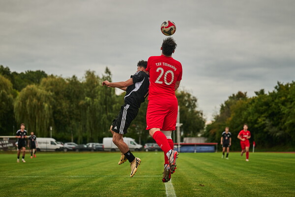 svlii-tsvtii-25-08-29-18-39-34