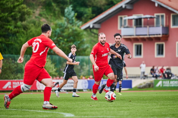 svlii-tsvtii-25-08-29-18-40-33