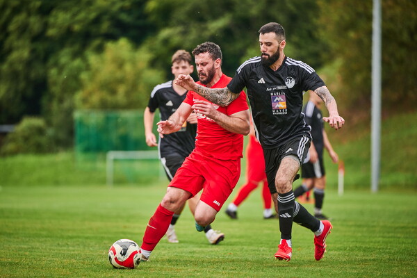 svlii-tsvtii-25-08-29-18-58-46