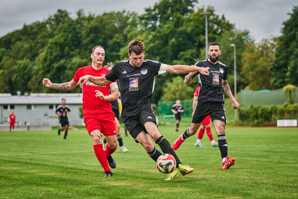 svlii-tsvtii-25-08-29-19-02-56