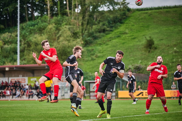 svlii-tsvtii-25-08-29-19-04-14