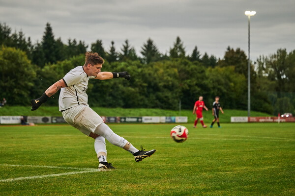 svlii-tsvtii-25-08-29-19-24-15