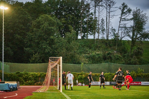 svlii-tsvtii-25-08-29-19-46-37