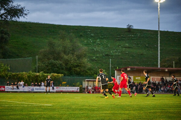 svlii-tsvtii-25-08-29-19-49-07