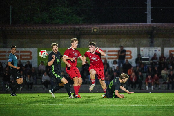 svl-svl-25-08-29-20-29-53