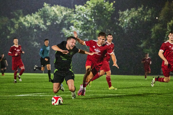 svl-svl-25-08-29-21-51-29