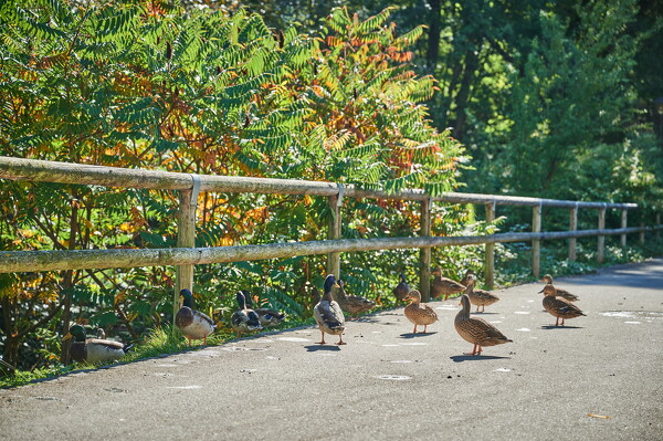 lf-25-10-01-11-36-02