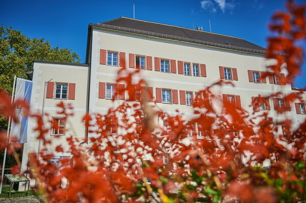 lf-25-10-01-12-13-52