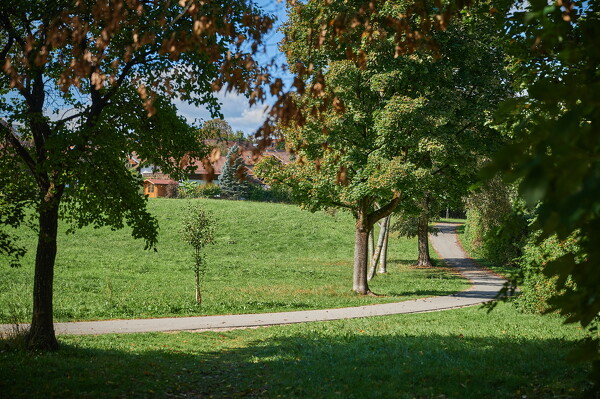 lf-25-10-01-12-22-02