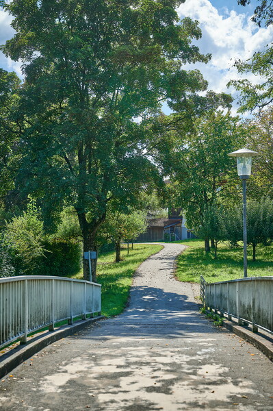 lf-25-10-01-12-24-53