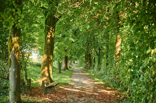 lf-25-10-01-12-33-16