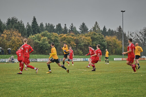 svl-bscs-25-11-02-14-10-47