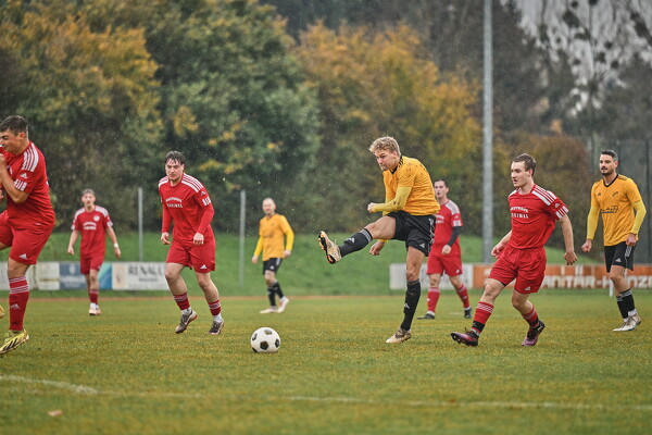 svl-bscs-25-11-02-14-11-09