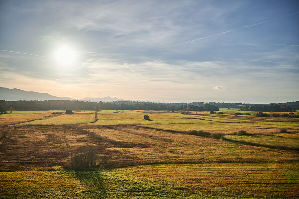 lf-25-11-11-15-22-30