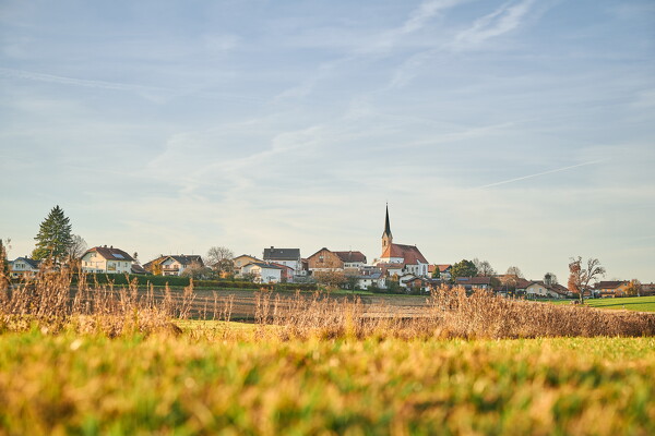 lf-25-11-11-15-34-56