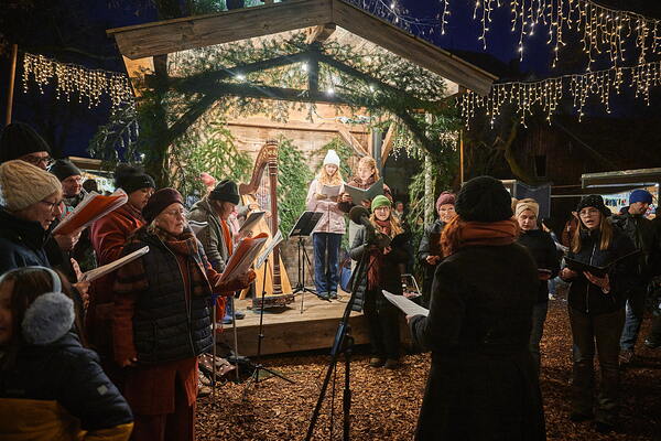 cm-25-11-30-17-11-08